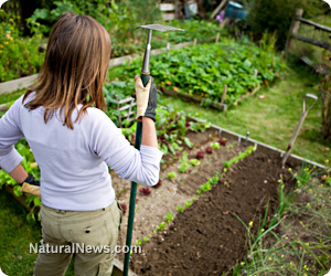 Woman-Proud-Home-Garden-Vegetables-Soil